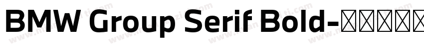 BMW Group Serif Bold字体转换